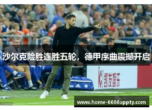 沙尔克险胜连胜五轮，德甲序曲震撼开启