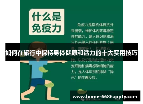 如何在旅行中保持身体健康和活力的十大实用技巧