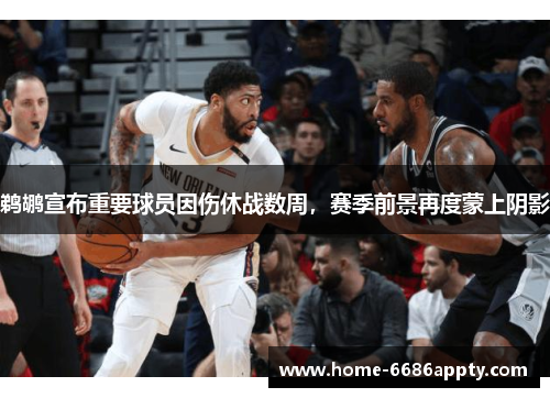 鹈鹕宣布重要球员因伤休战数周，赛季前景再度蒙上阴影